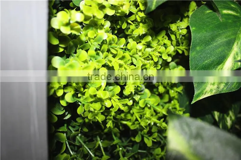 stickers home garden deco 200*200 cm indoor or outdoor artificial corner succulent green climbing plant wall Ezwq10 106