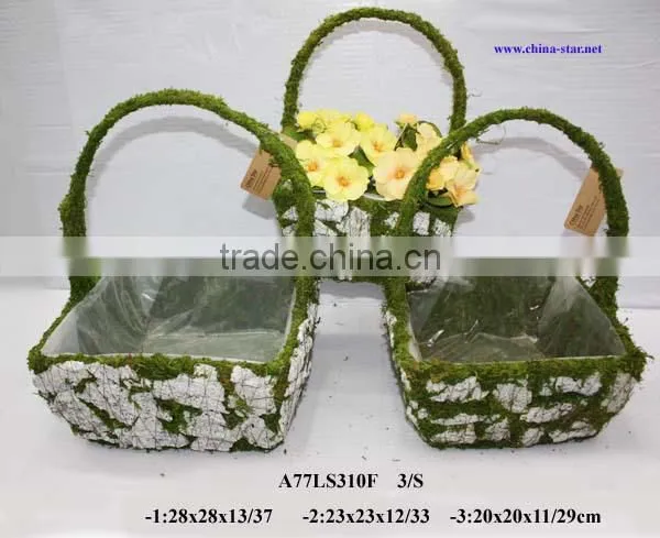 moss covered flower basket
