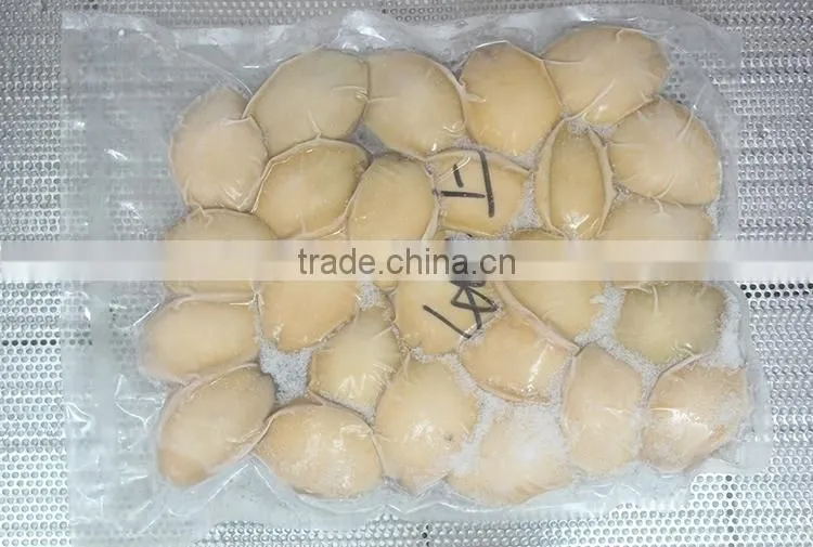 live frozen abalone in shells wholesale