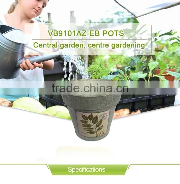 Hand Painted Metal Flower Pots&Planters