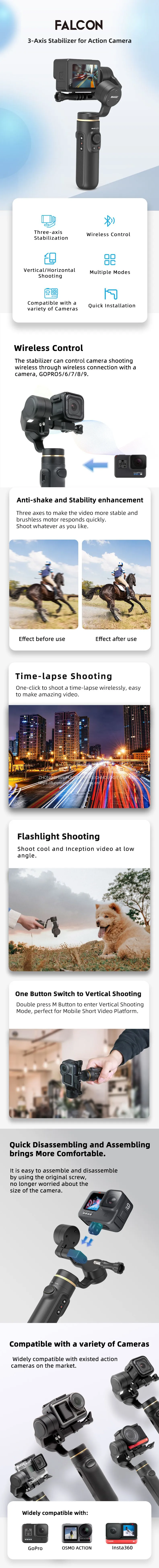 FALCON英文详情