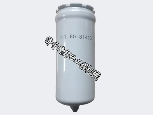 21T-60-31410.png
