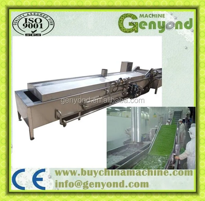 Washing, Cutting, Blanching Machine for Fruit and Vegetable Processing Line