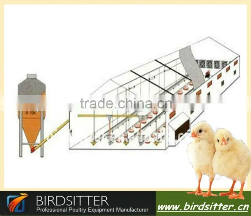 Hot sale modern automatic quail feeding equipment