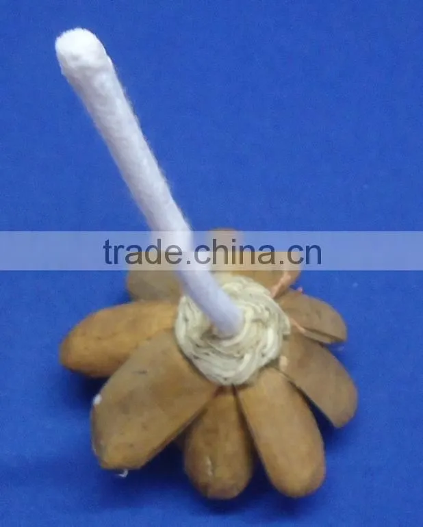 Sola flower