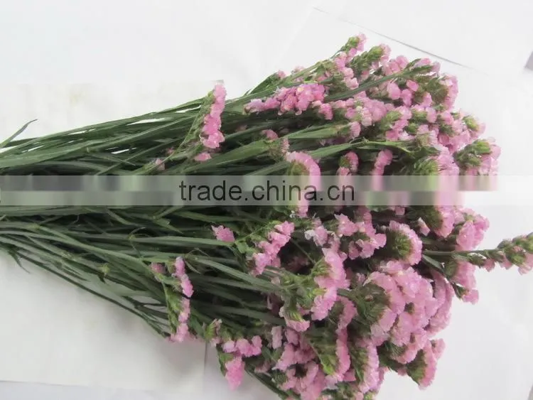 Colorful hot sale decorative supplies myosotis