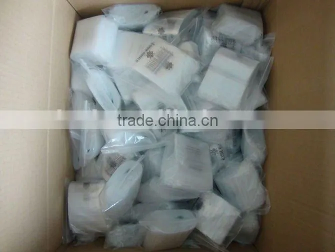 Zip Lock PE Bag