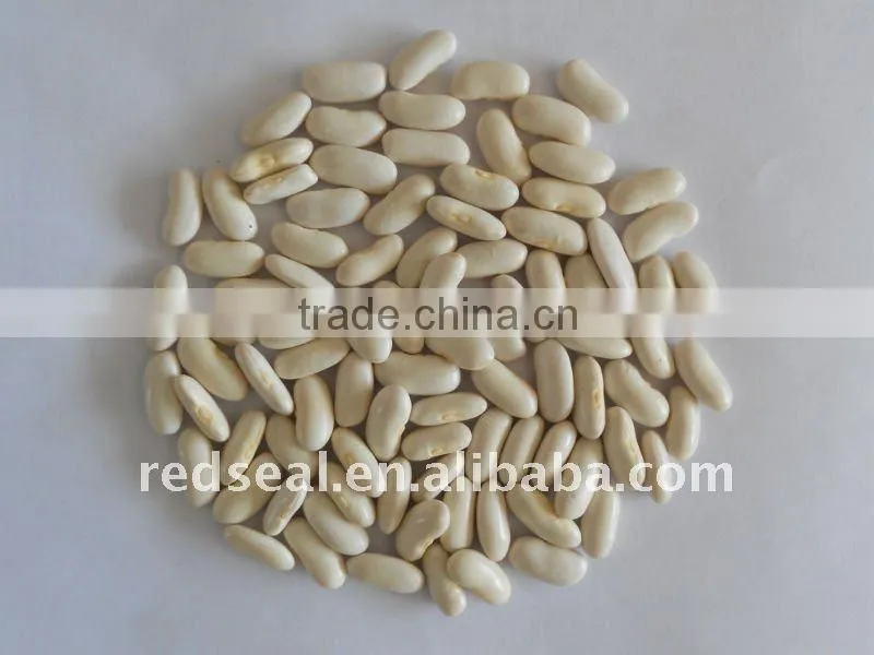 medium white kidney beans
