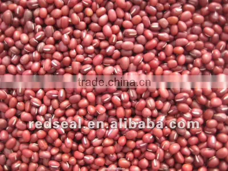 Small Black kidney beans