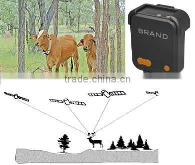 cattle GPS tracking with GEO-Fence ,MT-60,with central database