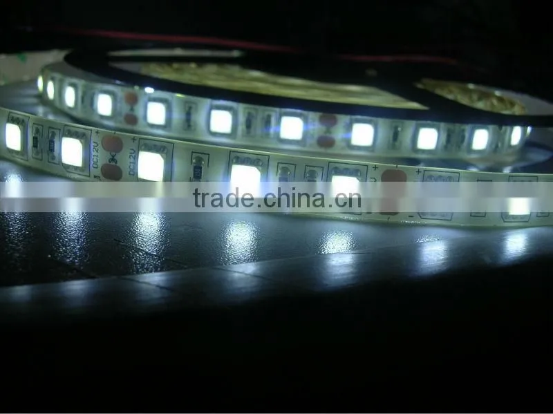 5M 5050 LED Hight brightness cold white 60 chip dc12v led strip 5050 rgb ip68 5050 LED