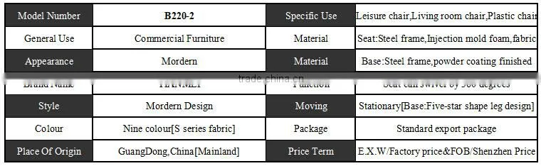 B220-2 Modern wholesale high quality living room furniture lounge chair
