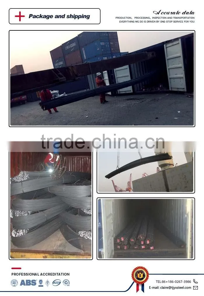 Deformed steel bar/deformed rebar