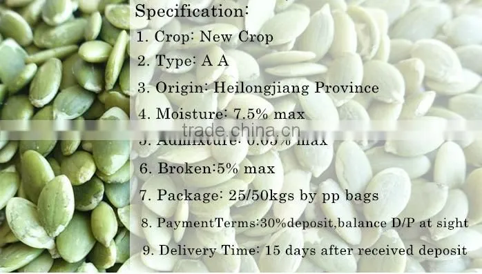 cheap best New Crop Shine Skin Pumpkin Seed kernel