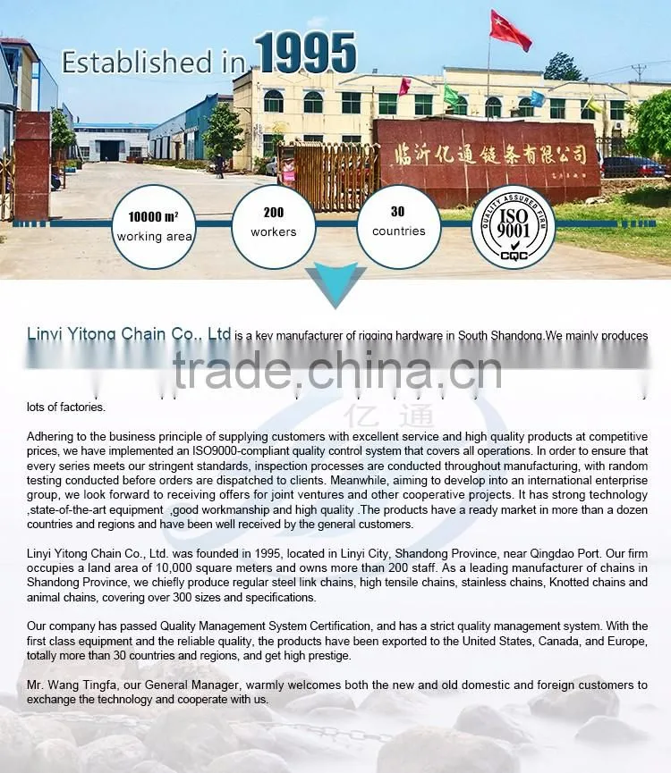 China Top Quality Flexible Accessories Plastic Chains