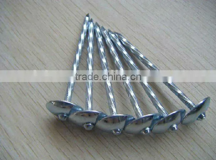 9BWG 2.5" Twist Roofing nail