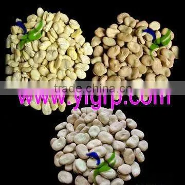 Dried Fava/ Faba Beans/ Broad Beans