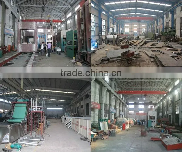 63 Ton Best Selling Hydraulic Press For Rubber Vulcanization Manufacture