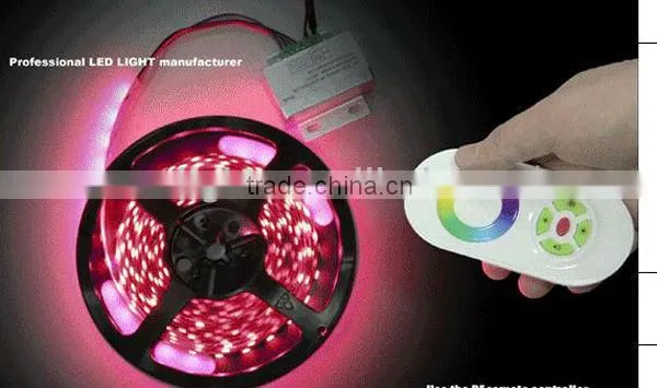 Color Changing SMD 5050 Flexible LED Light Strip with Remote Control