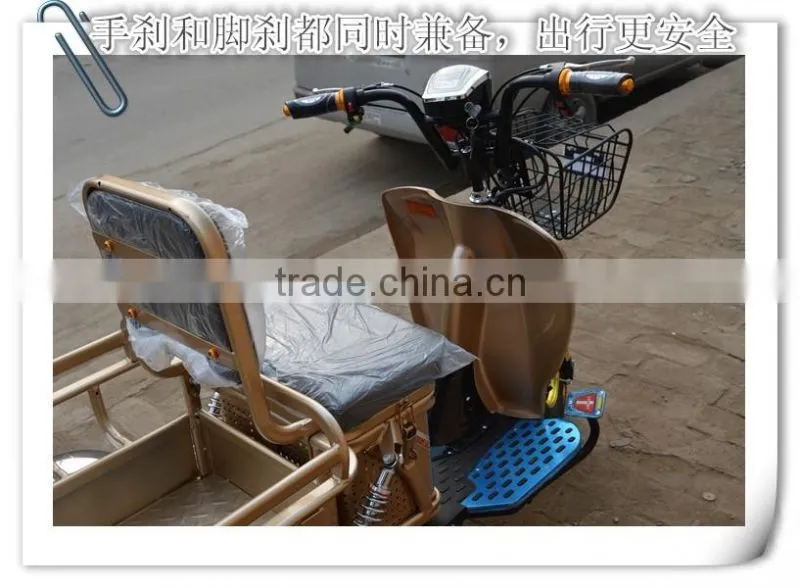 China Factory Export Three Wheel Electric Tricycle Cargo Bike 48V 500W