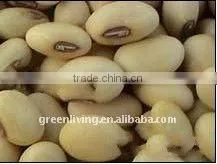 China yellow kidney beans