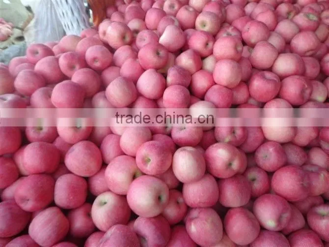 New Crop Fresh Fuji Apple/all kinds of pack