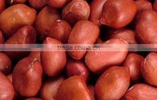 HIGH QUALITY GROUNDNUT KERNEL 40/50