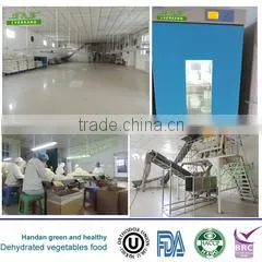 Handan Green And Healthy Dehydrated Vegetables Food Co., Ltd. company overview - view 2
