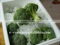 frozen green broccoli