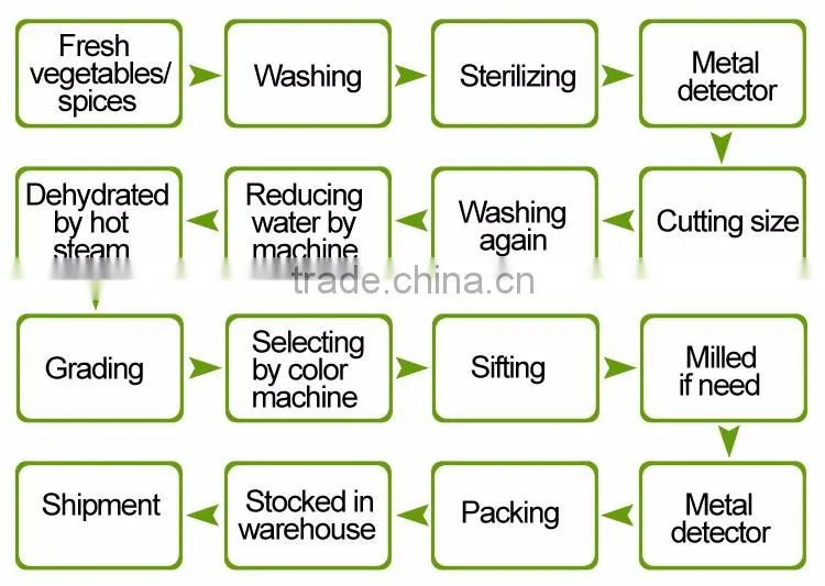 Professional Spices Manufacturer farm green,red bell pepper price for salad, soup