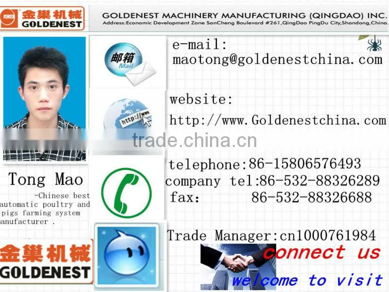 auger feed transportation system
