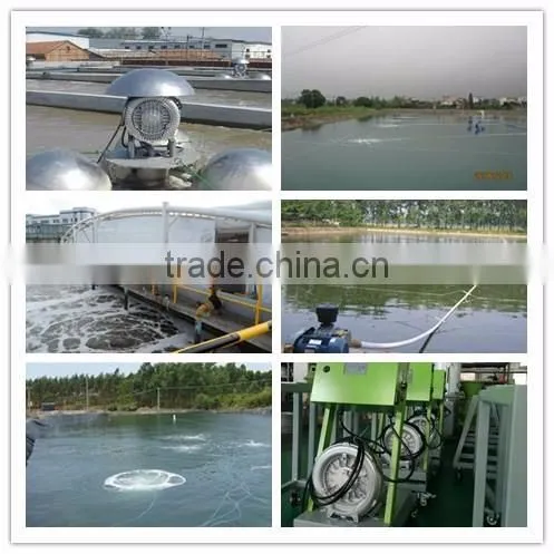 China manufacturer three phase tunnel turbo blower tunnel turbo blower