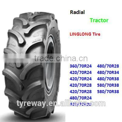 Radial agricultural tire
