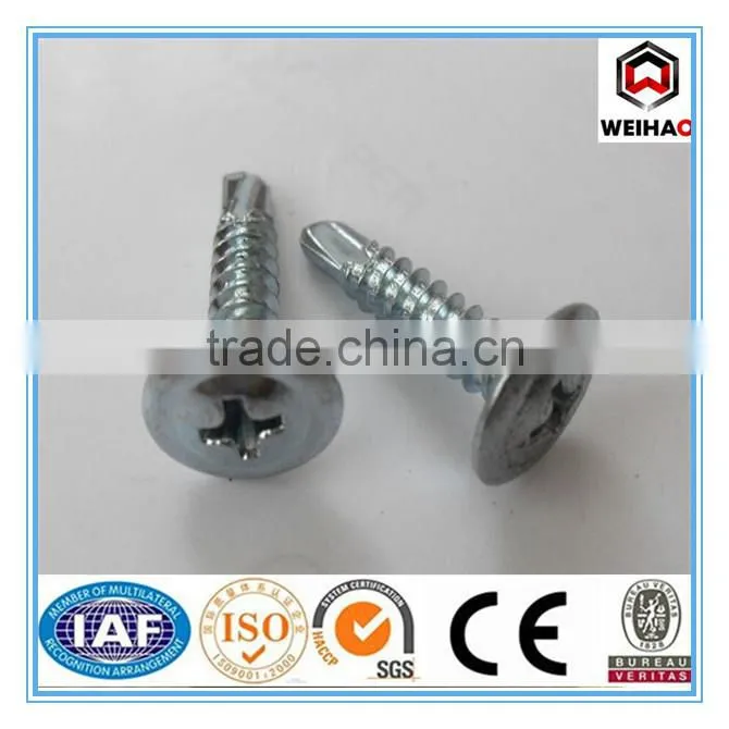 hot selling high qualiy self tapping screw with rubber washer