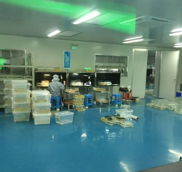 Shenzhen Western Electronic Co., Ltd company overview - view 1