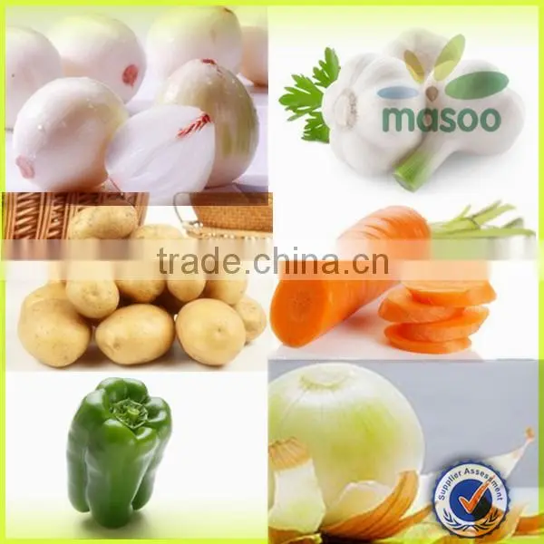 holland potato certified fresh sweet potato 150-200g exporter
