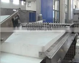 Key technology whole sets of potato chips processing Line