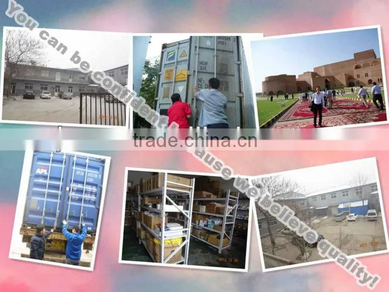 Hot Dip Galvanized Stainless Steel Ventilation Exhaust Fan
