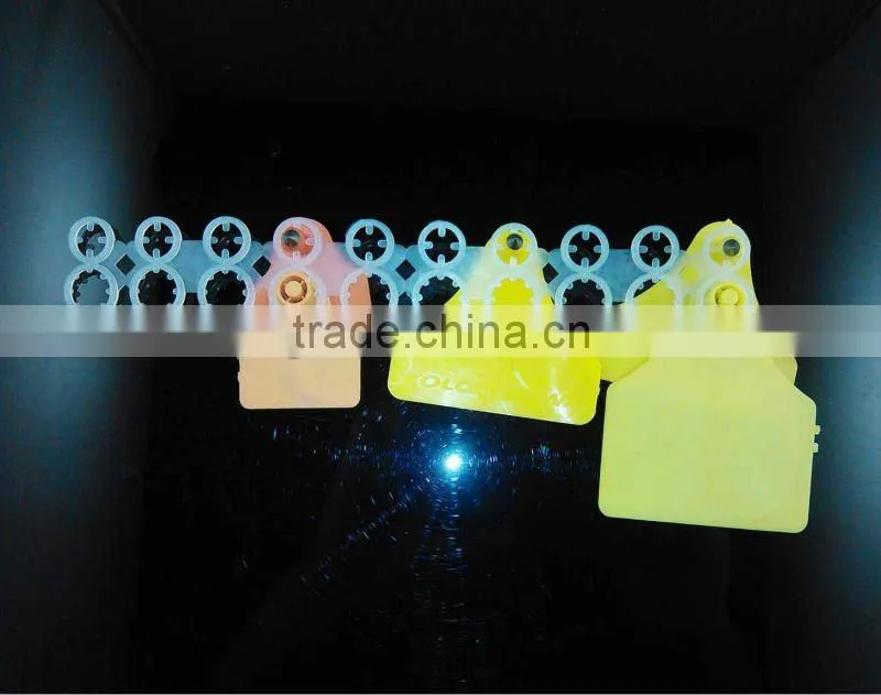 ear tag packing line