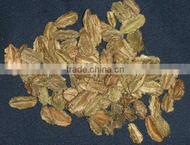 Dried flower