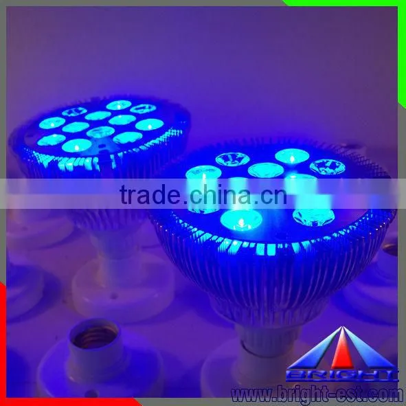 12W LED Par38 Light with RGB Controller