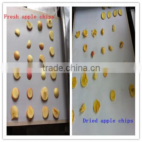 Hot Sale Resonable Price Potato Chips Microwave Dryer With CE