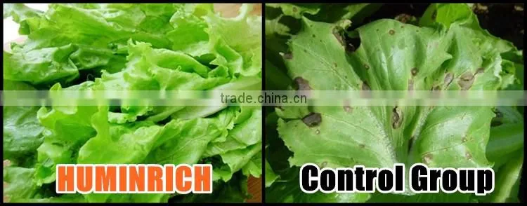 Huminrich Solubility High Quality Increase Vegetable Yield Potassium Humate Fertilizer