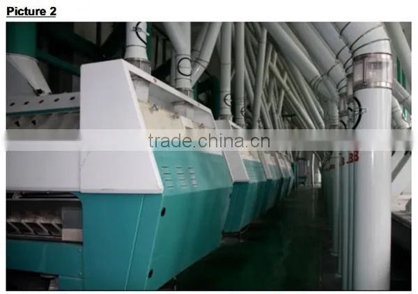 whole wheat flour mill