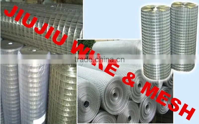 Anping JIUJIU Galvanized welded wire mesh best quality price