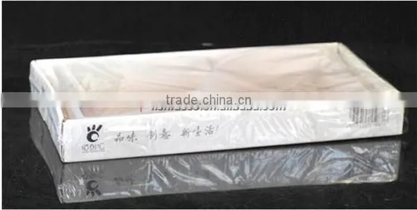 Two-double Triangle Style Multipurpose Plastic Shelves Plastic Storage Shelves