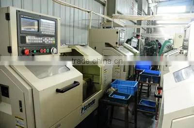 CNG fuel injector rail / rail injectors for lpg cng