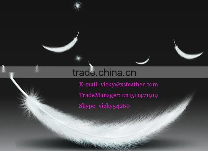 Hot sale Washed white duck down goose down feather