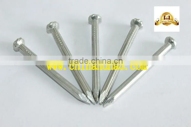Manufacturer supply round head common iron nail