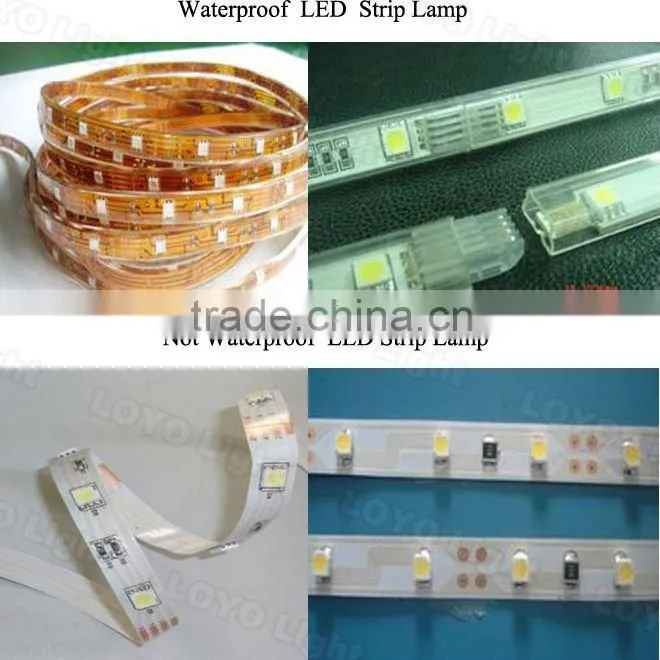 floor light led strip lighting,5050 smd LED Strip